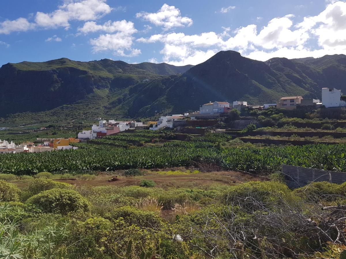 Apartamento Teno Mountains&Bananas Garden House Los Silos Exterior foto